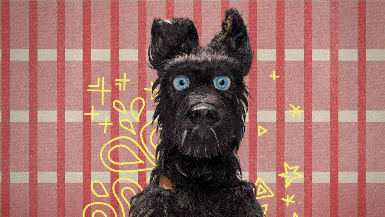 Isle of Dog promotional poster showing dozens of dogs and the main character of the movie, a male human