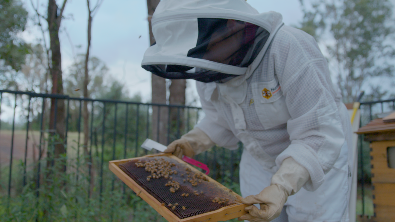 Tanya in a beekeeping suit, handling bees.