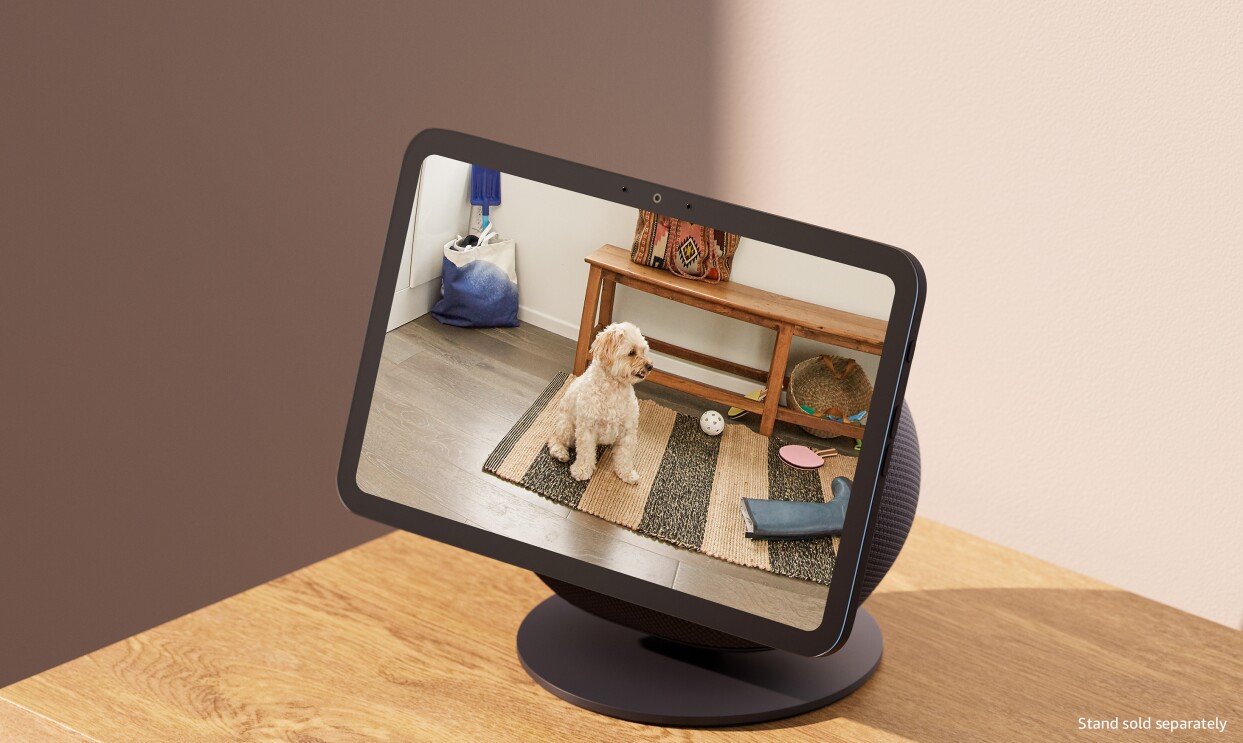 Smart display showing live feed of small white dog on rug with pet toys nearby