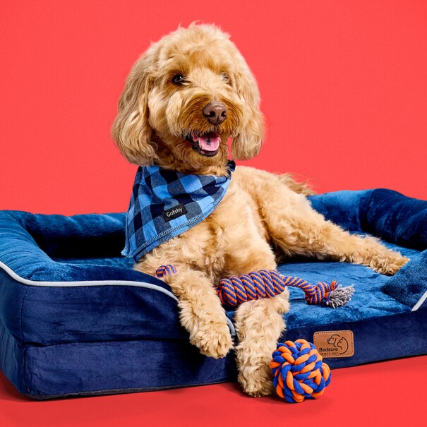 Connie Chen connie-chen