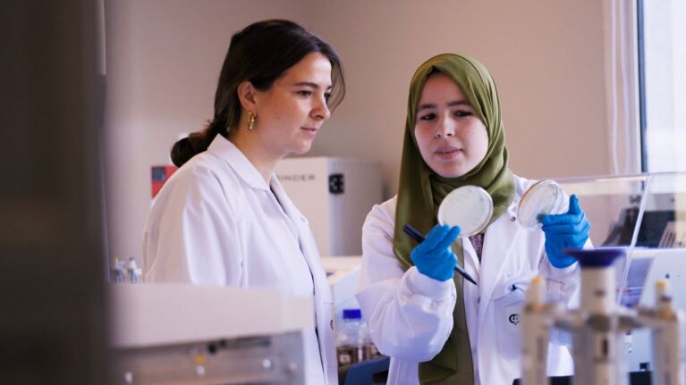 Scientists examining petri dish in laboratory