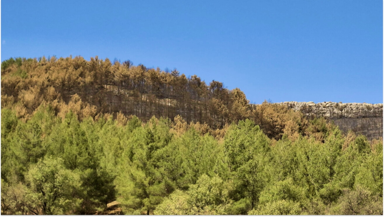 Turkish Countryside during the time of Amazon's visit to the country as part of their involvement with theUnited Nations Development Programme