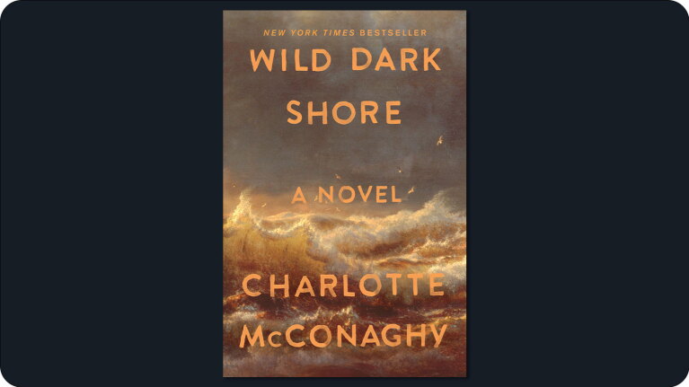 Book cover: Wild Dark Shore by Charlotte McConaghy, featuring stormy sea
