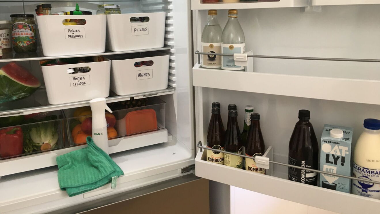 Fridge clean with Koh 