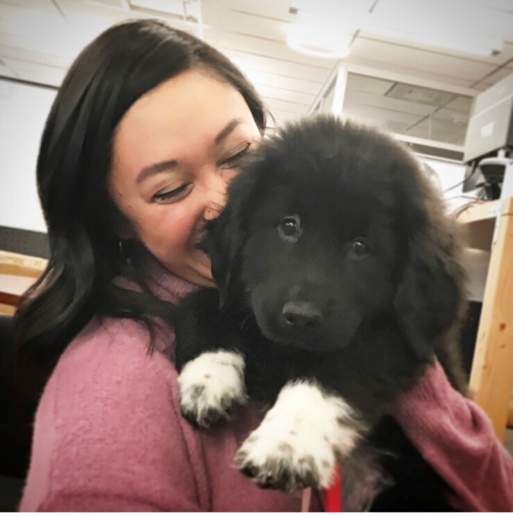 Dogs of Amazon - Mags and Amanda