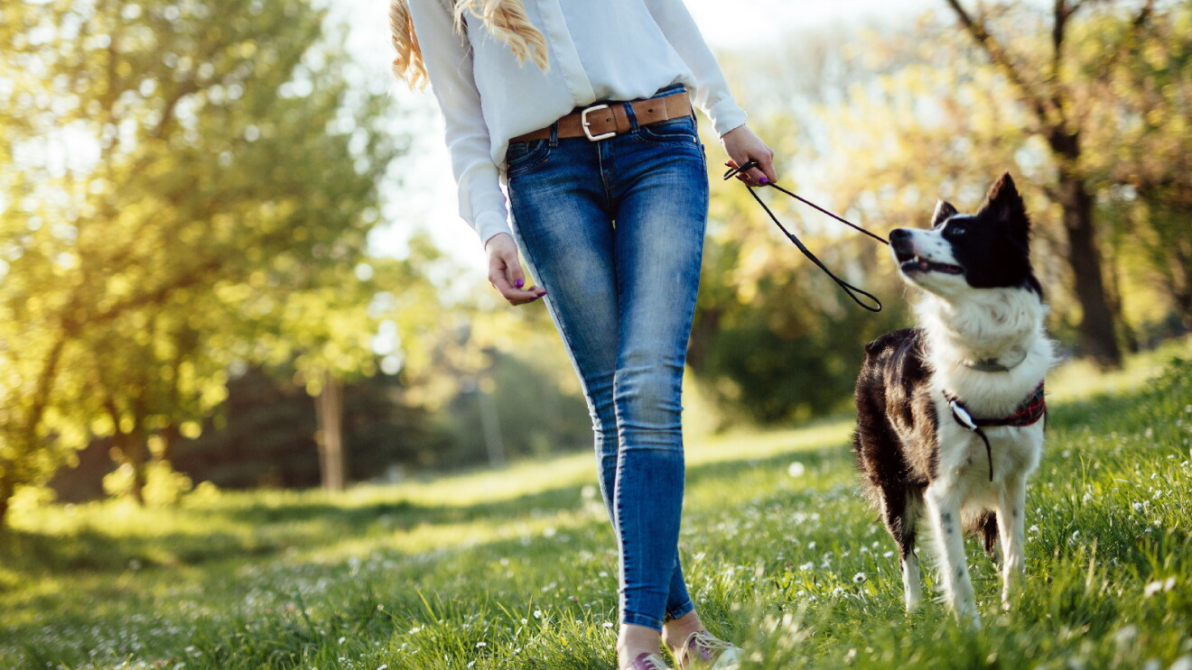 Prime Day 2023 live blog best deals: lower-angle image of a woman walking her dog in the park.