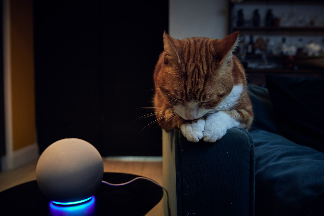 Alexa_Pets3