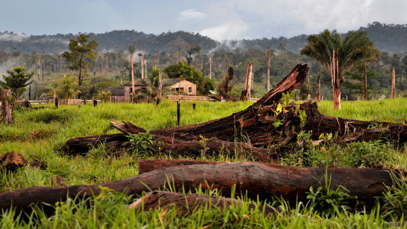 carbon credit images