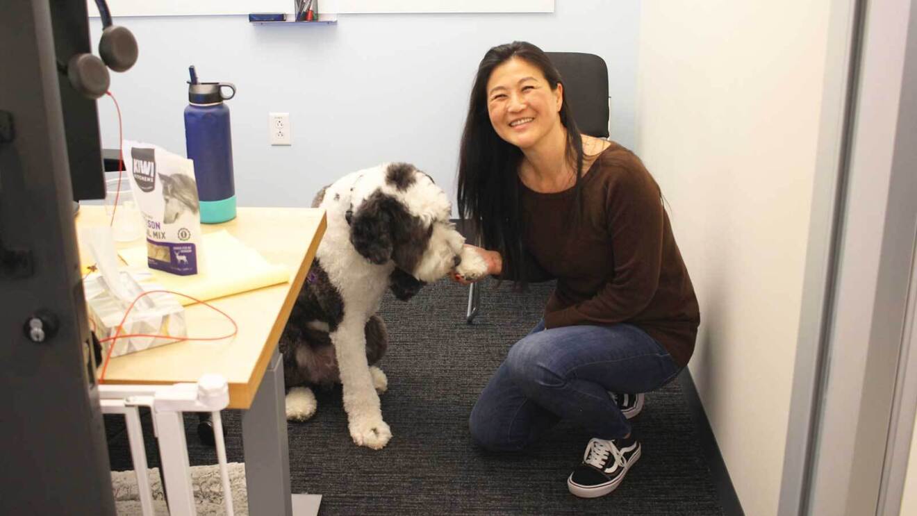 An image of a large, white and gray dog at an Amazon office in Culver City Los Angeles.