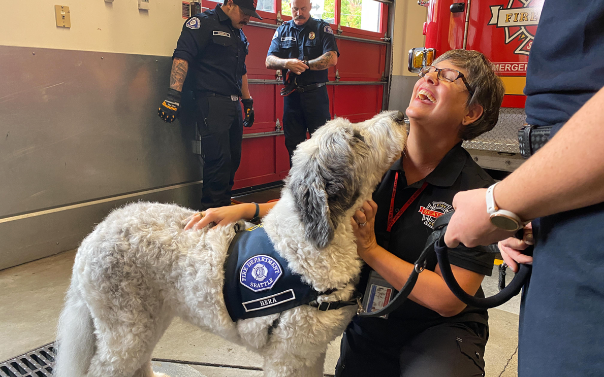 A photo of a firefighter from the Seattle Fire Department petting a dog. There is a fire truck in the background.