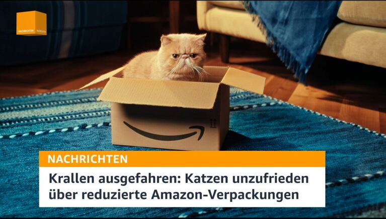 Man sieht im Standbild des Videos einen Amazon Karton, in dem eine Katze sitzt. Der Karton steht auf einem blau-gemusterten Teppich. Eingeblendet ist zu lesen: "Nachrichten - Krallen ausgefahren: Katzen unzufrieden über reduzierte Amazon-Verpackungen.