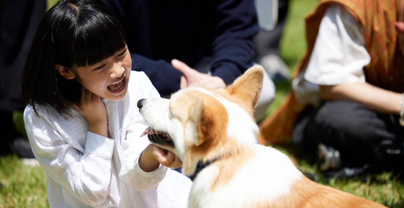 子役の少女が犬とたわむれている