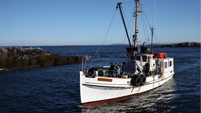 亚马逊的包裹通过船只、汽车直接送到客户手中。