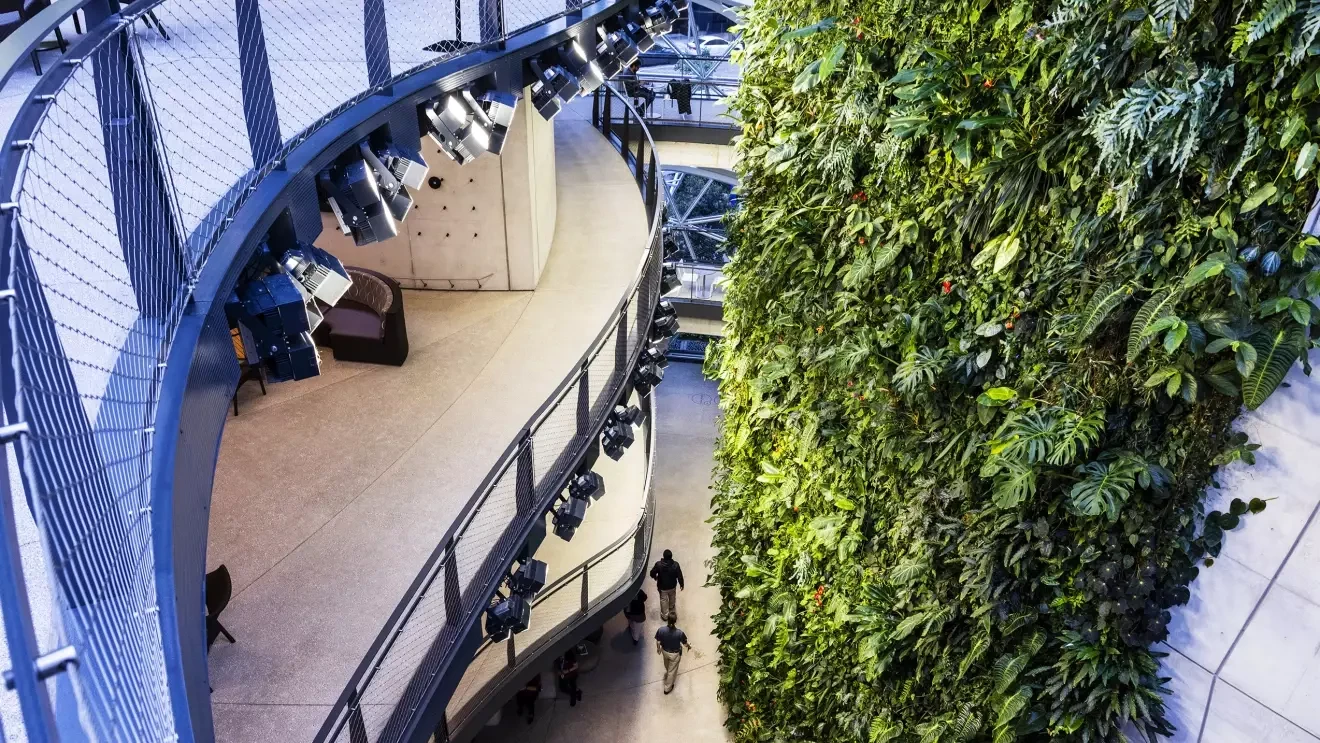 上から見えるAmazonの設置に置かれた巨大な植物の壁。