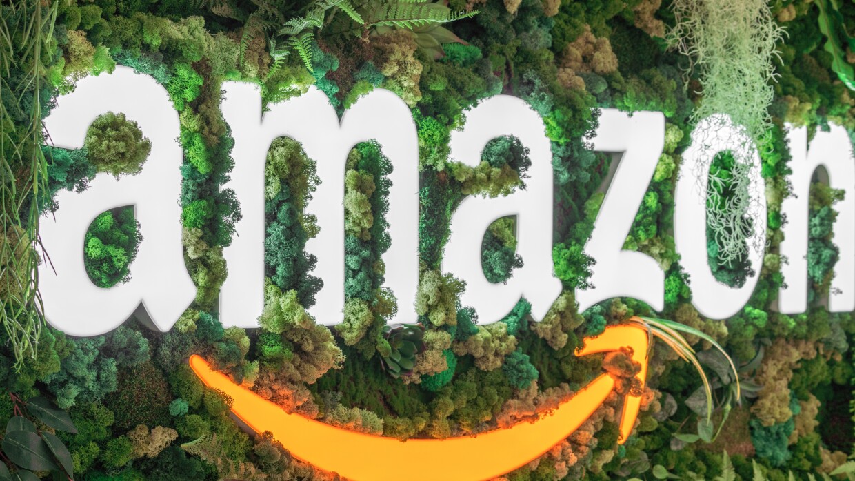 Amazon Smile against green plant wall