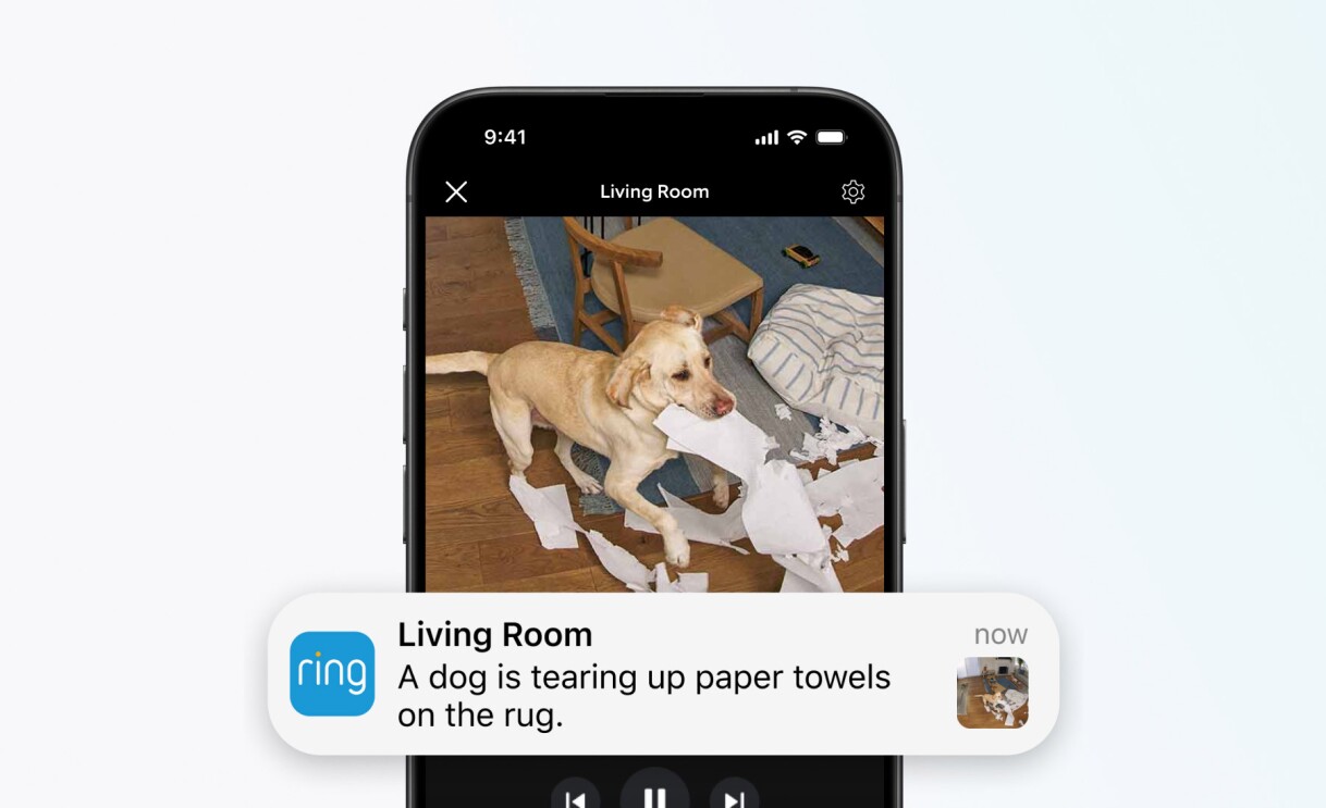 Ring security app alert showing dog tearing up paper towels