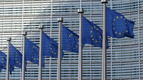 Foto de 7 banderas europeas