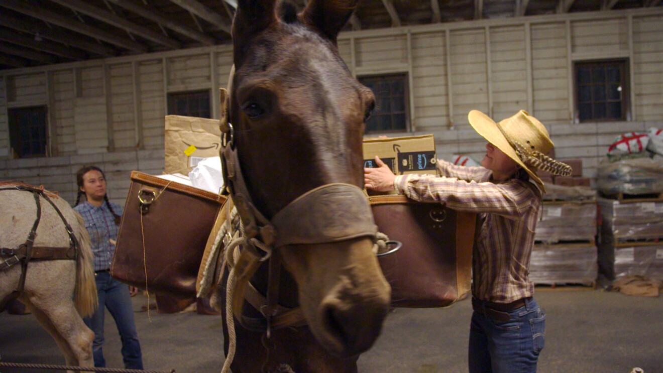Two riders prep and pack a mule with packages.