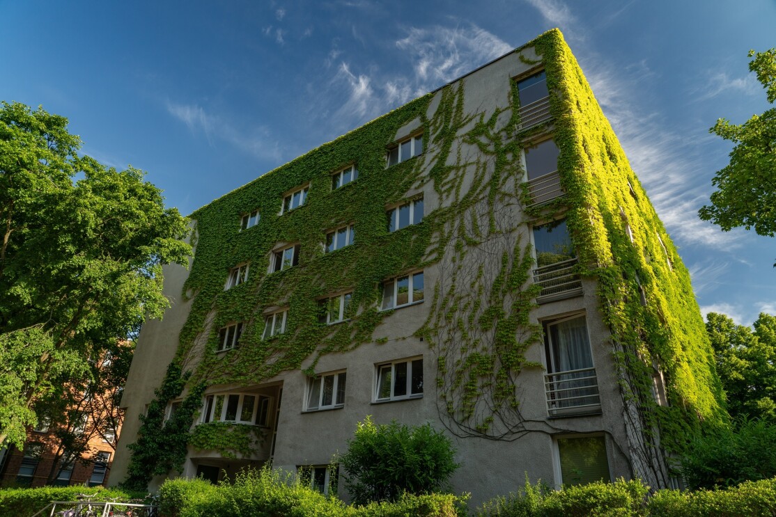 Begrüntes Gebäude