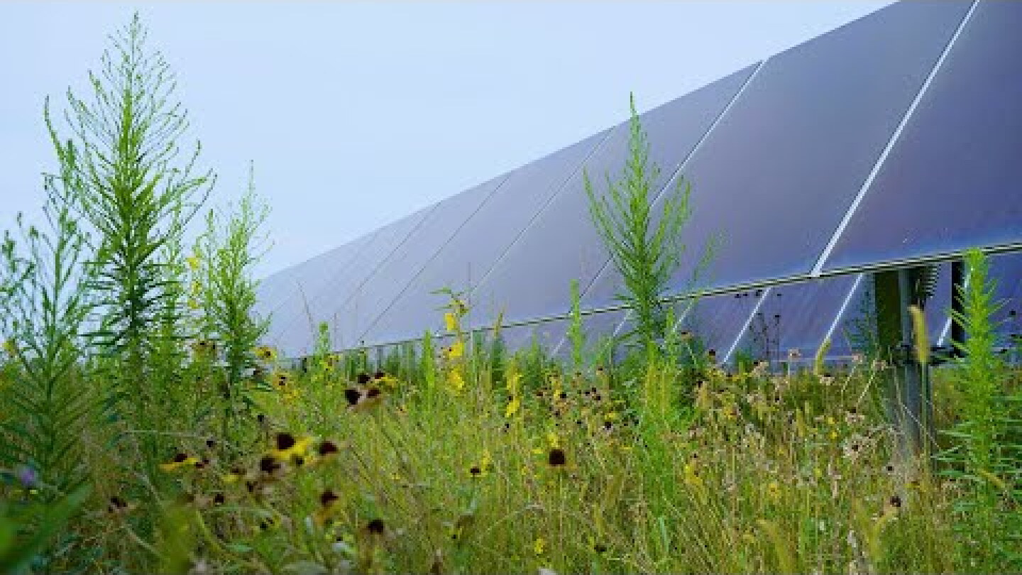 Careers at the Amazon Solar Farm Ohio–Yellowbud