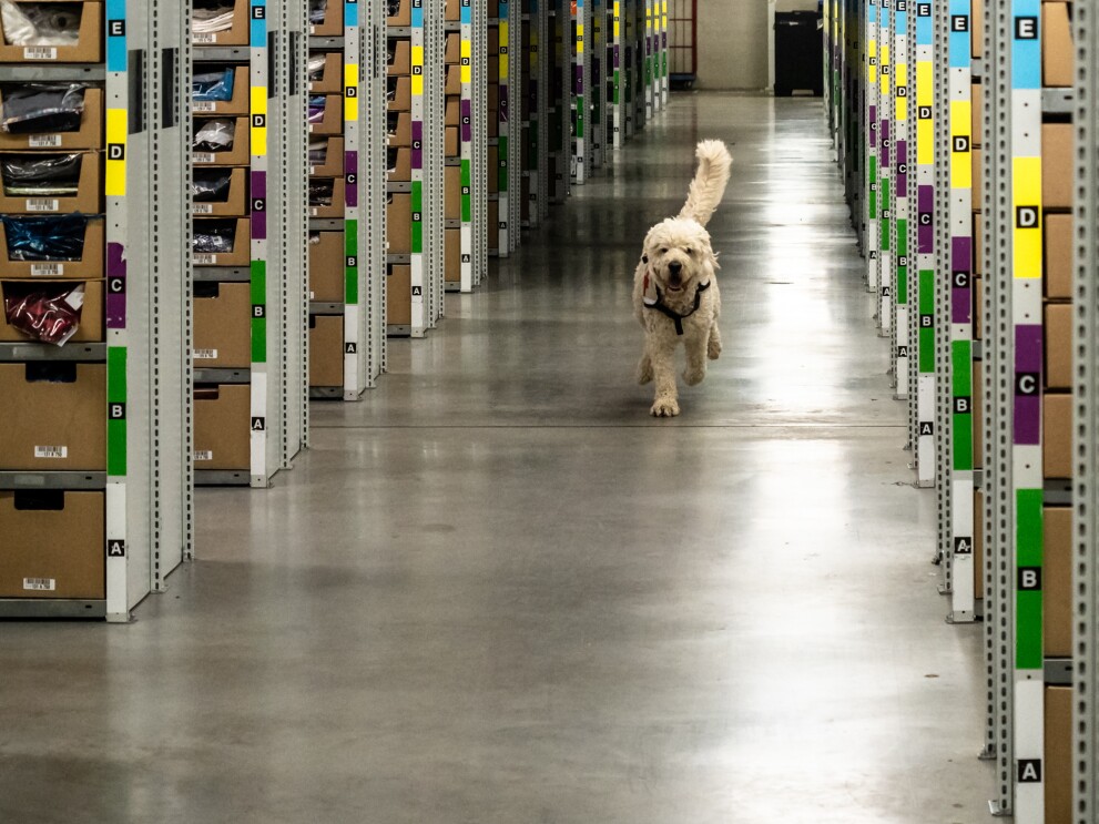 Rettungshund in FRA3