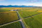 Bankhouse Vineyard in New Zealand