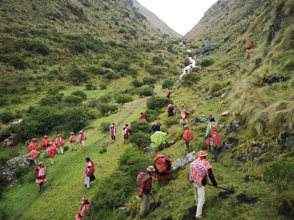 An image of people planting trees along a mountainside.