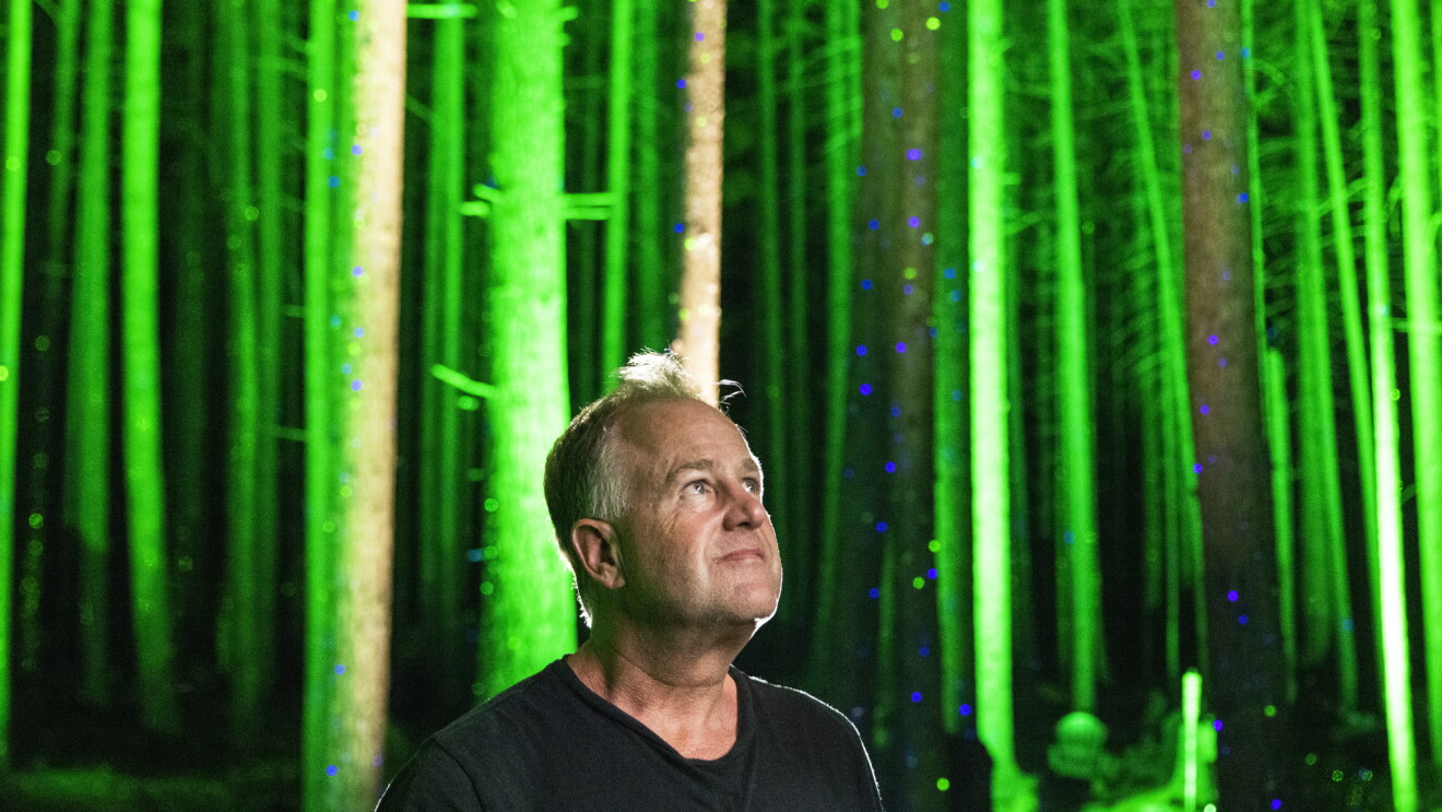 Flanked by a forest lit up in green and blue, a man looks up.