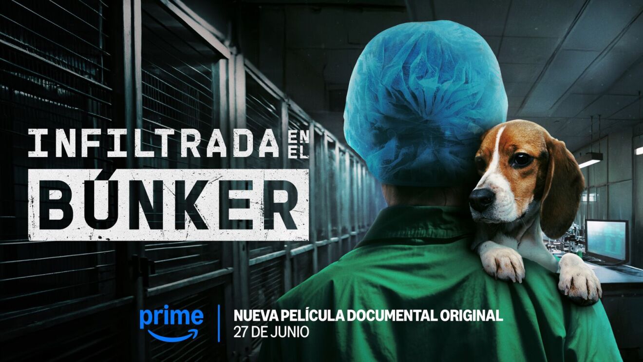 About Amazon Inline-BUNK_S1_KeyArt_PRE_Poster_1920x1080_PV_3000