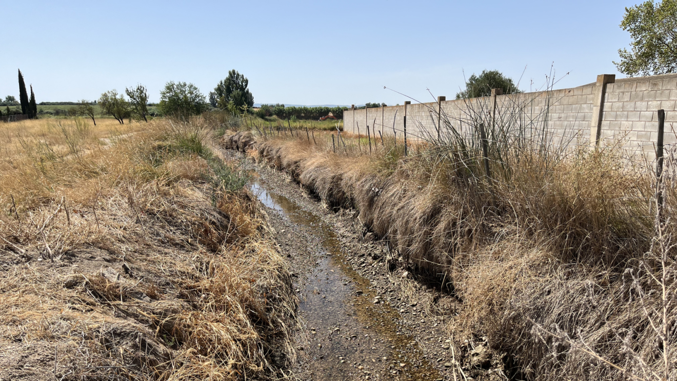 A riverbed with dried foliage surrounding it