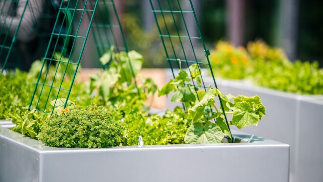 当地官员的形象游览亚马逊的第二总部开幕