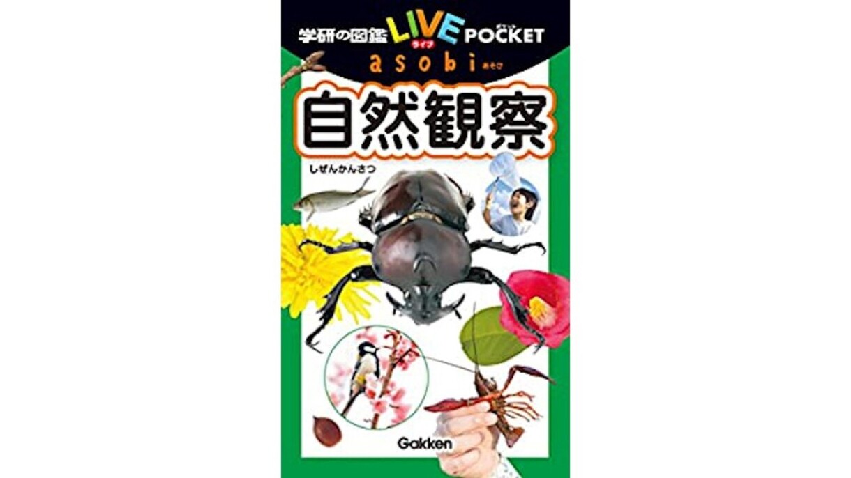 家族とアウトドア気分なおうち時間 おうちキャンプ「家キャン」をさらに盛り上げるAmazonデバイス活用術