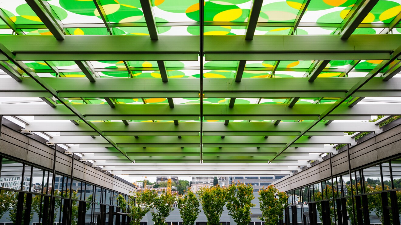 2017年亚马逊西雅图园区