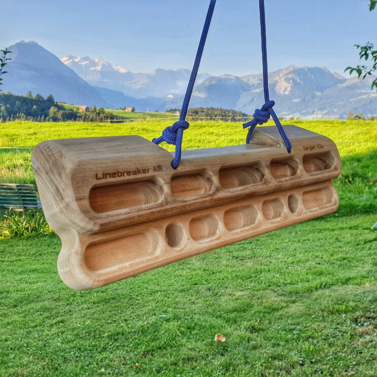 Ein Klettergerät aus Holz hängt an blauen Seilen.