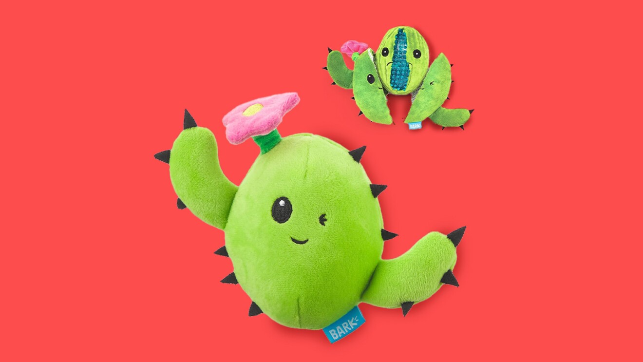 An image of cactus pet toy with a red background.