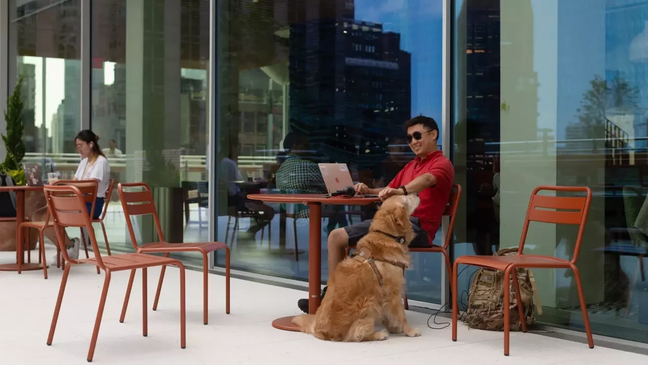 テラスに置かれたテーブル席で、赤いシャツを着ている男性がPCを見ながら犬を撫でている