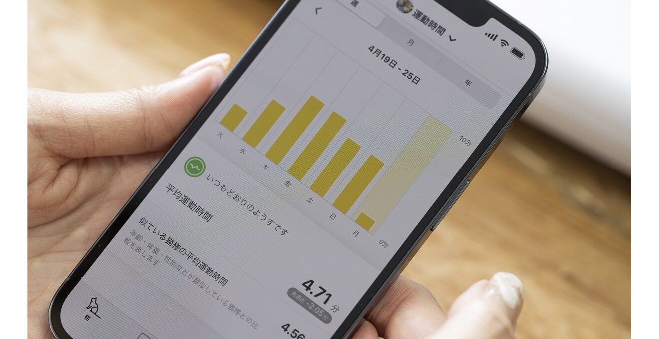 グラフも交えてデータを表示する画面写真