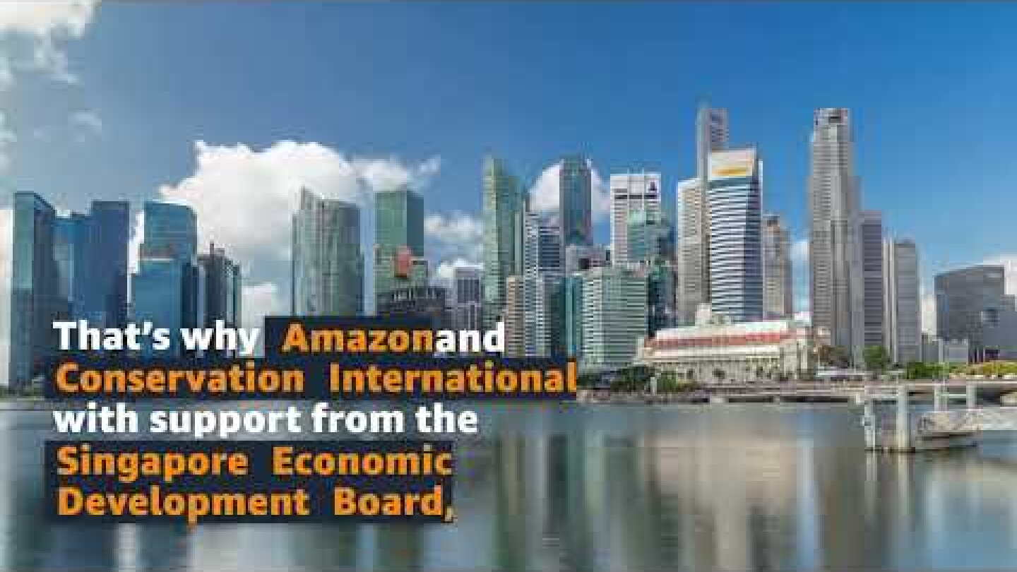 The secret weapon that Singapore and Southeast Asia hold to fighting climate change