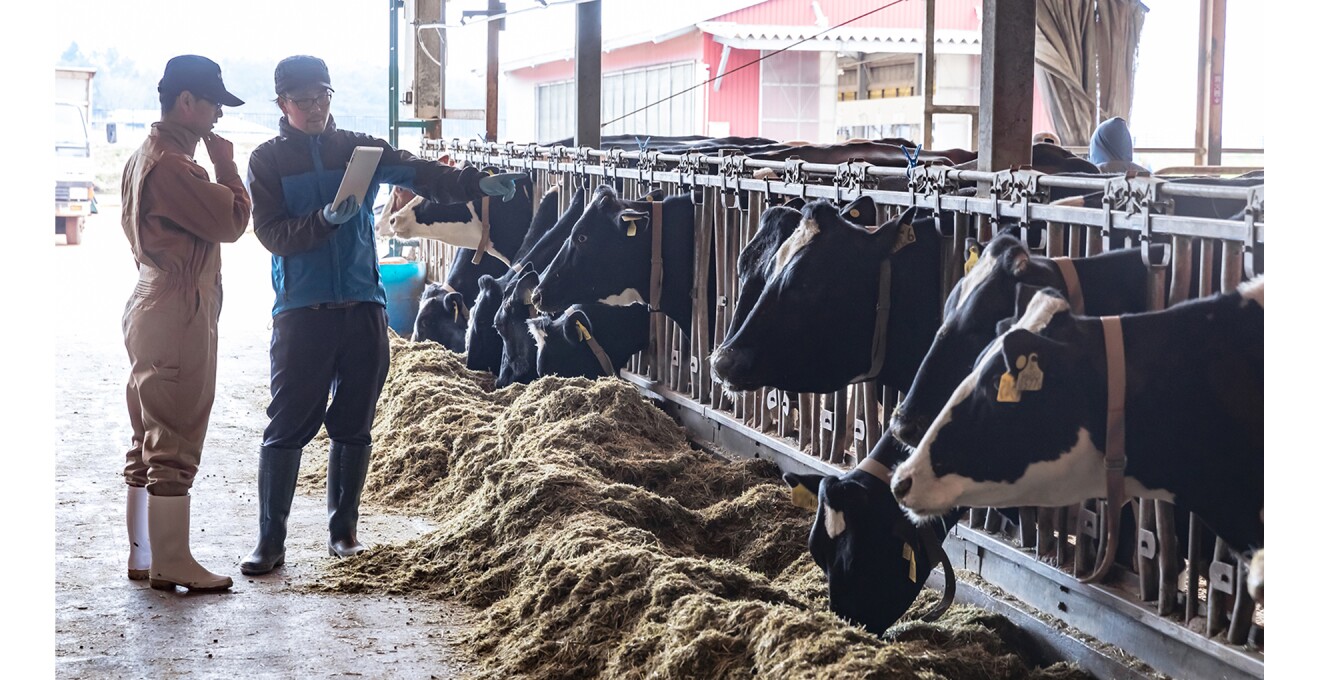 牛達を前にタブレットを見ながら話し合いをしている写真