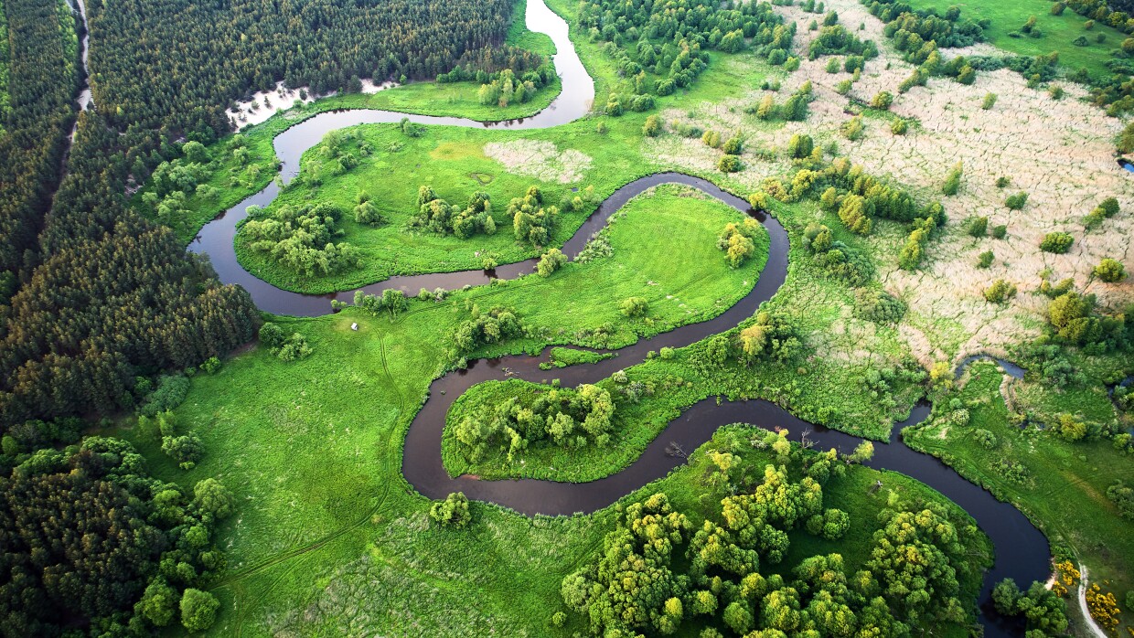 Aerial landscape wild river in summer