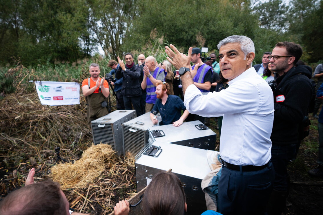 Mayor of London Sadiq Khan helps release Eurasian beavers 