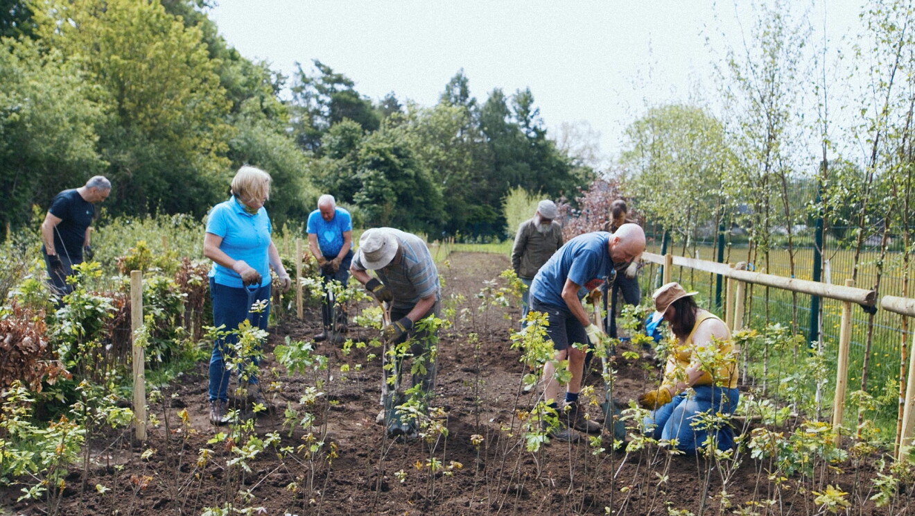 woodland trust amazon uk RNCF 