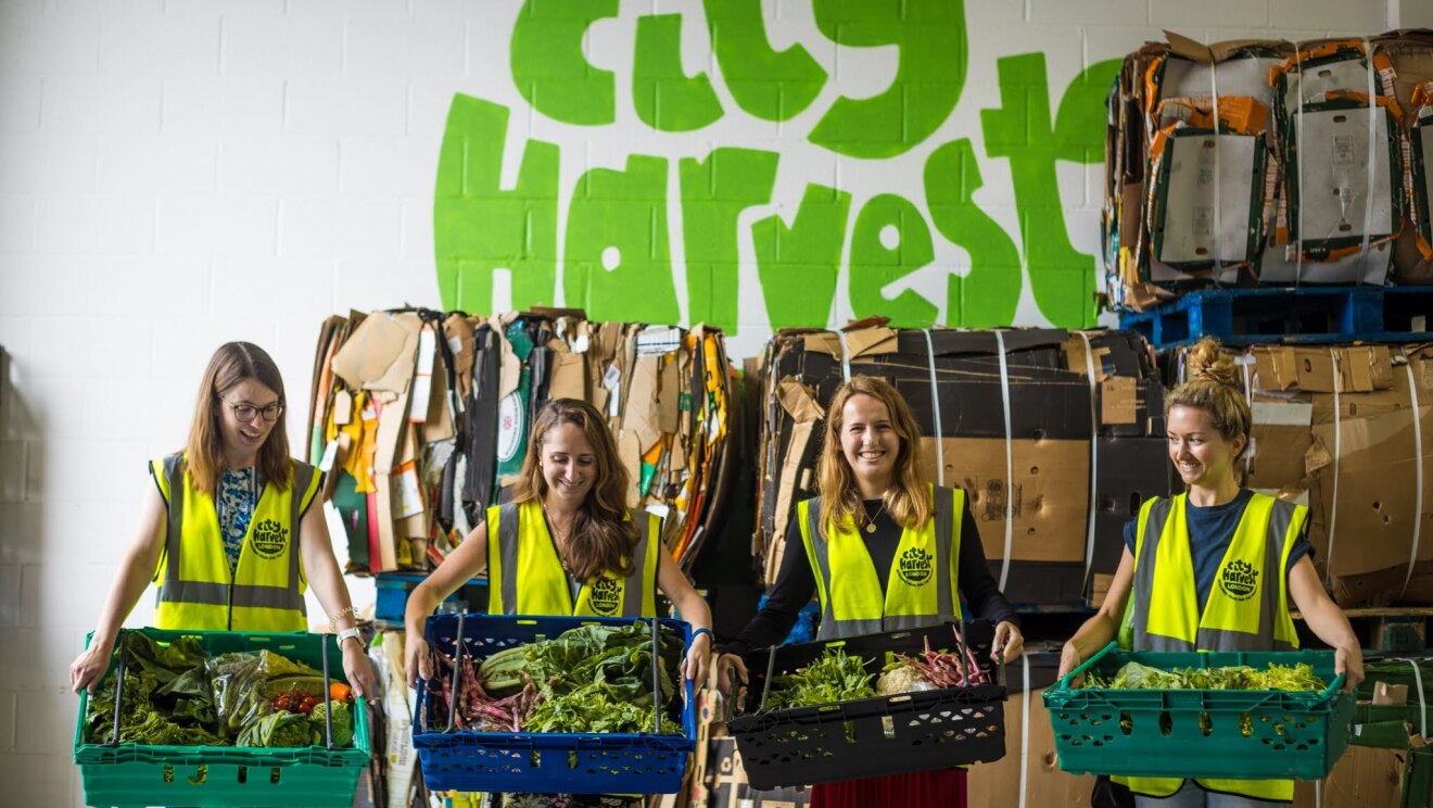 Sustainability Ambassadors at City Harvest London