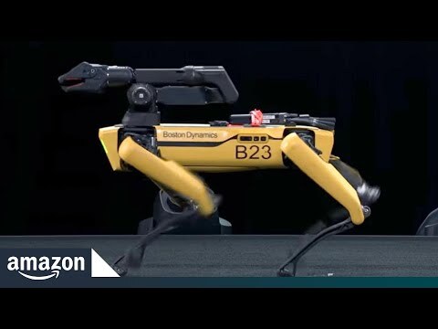 Marc Raibert, CEO Boston Dynamics, keynote at re:MARS
