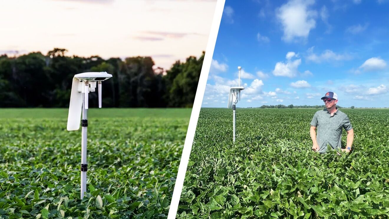 water irrigation: Agricultural sensor in soybean field, farmer observing crop growth