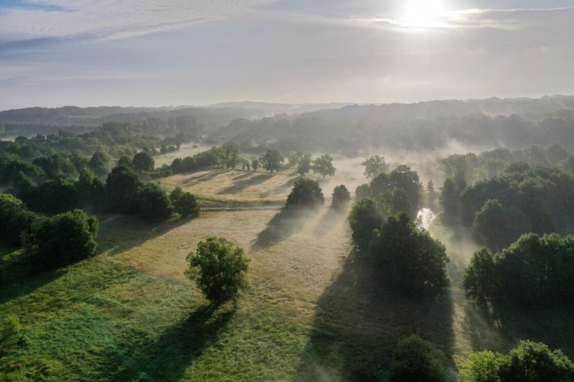 Belgium’s National Park Brabantse Wouden.jpg
