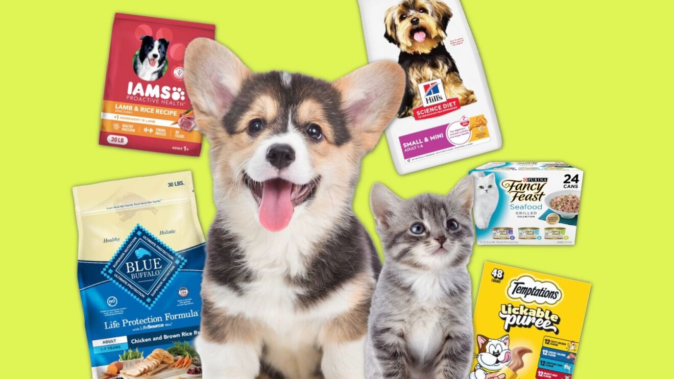 Corgi puppy and kitten with pet food products including Iams, Hill's Science Diet, Blue Buffalo, Fancy Feast, and Temptations