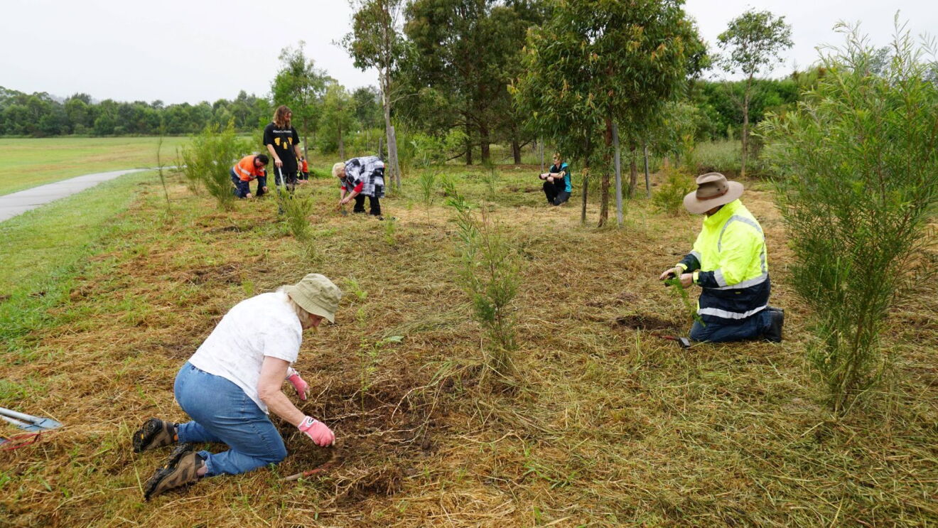 AWS and Great Eastern Ranges partner on sustainable restoration in Greater Sydney