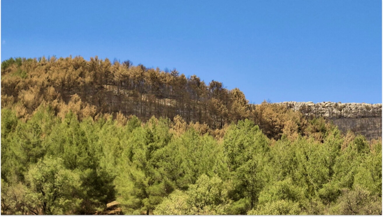 Turkish Countryside during the time of Amazon's visit to the country as part of their involvement with theUnited Nations Development Programme 