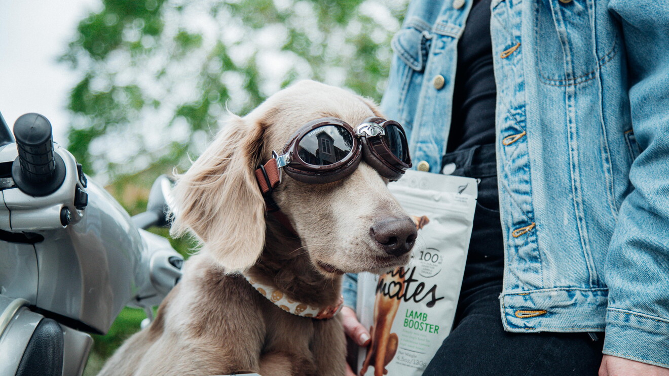 Product imagery of Meat Mates pet food with a customer 